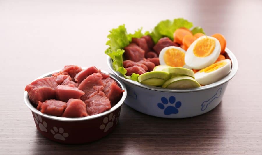 Our Raw Dog Food Recipe and the Process